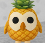 pineapple Owl adopt me